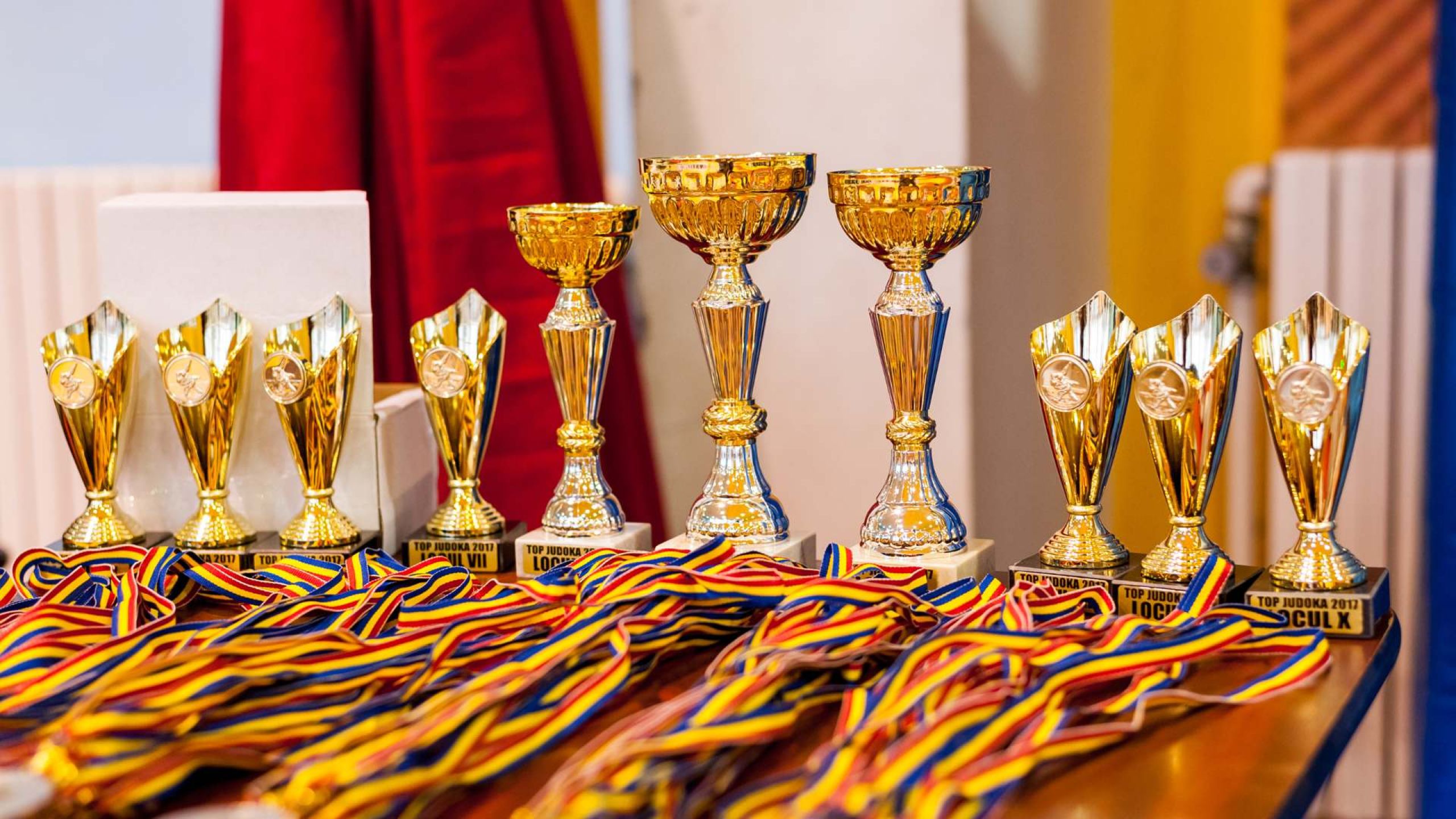 Judo Club Liberty Oradea